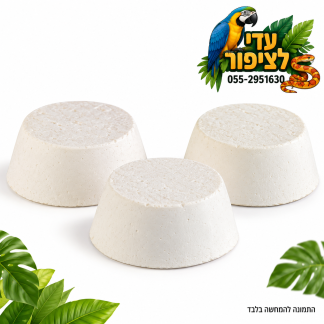 אבני סידן לתוכים וציפורים – מארז 3 יחידות