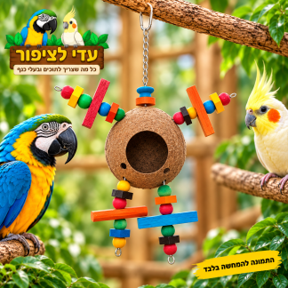 צעצוע קוקוס טבעי לתוכים עם חרוזי עץ צבעוניים – משחק לעיסה והעשרה מידות 30*25