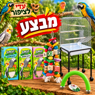 חבילת כלוב לתוכי עם אביזרים – מבצע מיוחד