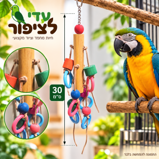 צעצוע תלייה לתוכים מעץ עם טבעות צבעוניות – 30 ס״מ